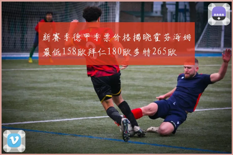 新赛季德甲季票价格揭晓霍芬海姆最低158欧拜仁180欧多特265欧
